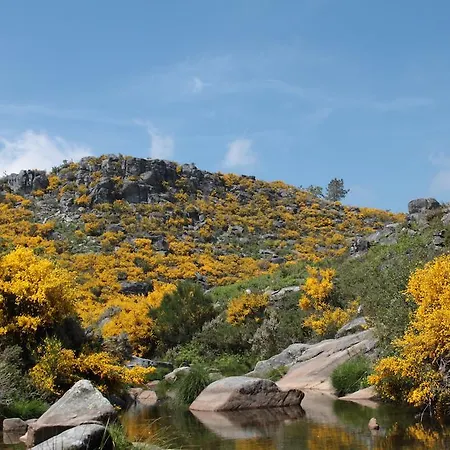 Pool & Sea Oporto Accommodatie bij particulieren *